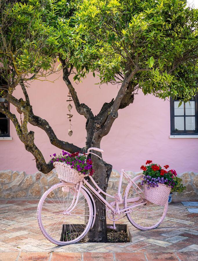 Quinta Aida Cottage And B&B Suites Лагоа Экстерьер фото